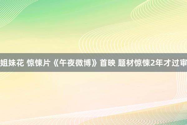 姐妹花 惊悚片《午夜微博》首映 题材惊悚2年才过审