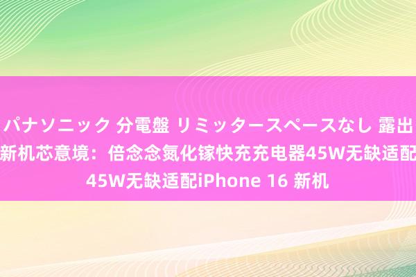 パナソニック 分電盤 リミッタースペースなし 露出・半埋込両用形 新机芯意境：倍念念氮化镓快充充电器45W无缺适配iPhone 16 新机