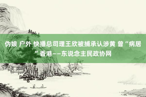 伪娘 户外 快播总司理王欣被捕承认涉黄 曾“病居”香港——东说念主民政协网