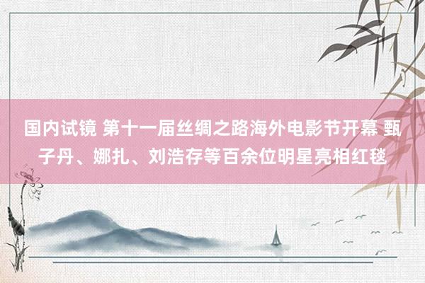 国内试镜 第十一届丝绸之路海外电影节开幕 甄子丹、娜扎、刘浩存等百余位明星亮相红毯