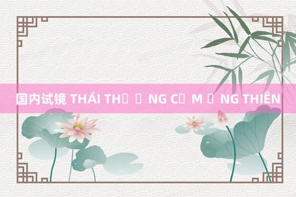 国内试镜 THÁI THƯỢNG CẢM ỨNG THIÊN