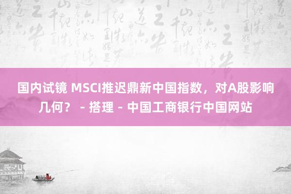 国内试镜 MSCI推迟鼎新中国指数，对A股影响几何？－搭理－中国工商银行中国网站