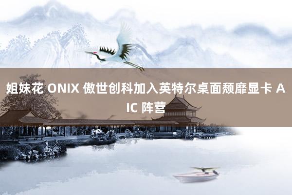 姐妹花 ONIX 傲世创科加入英特尔桌面颓靡显卡 AIC 阵营